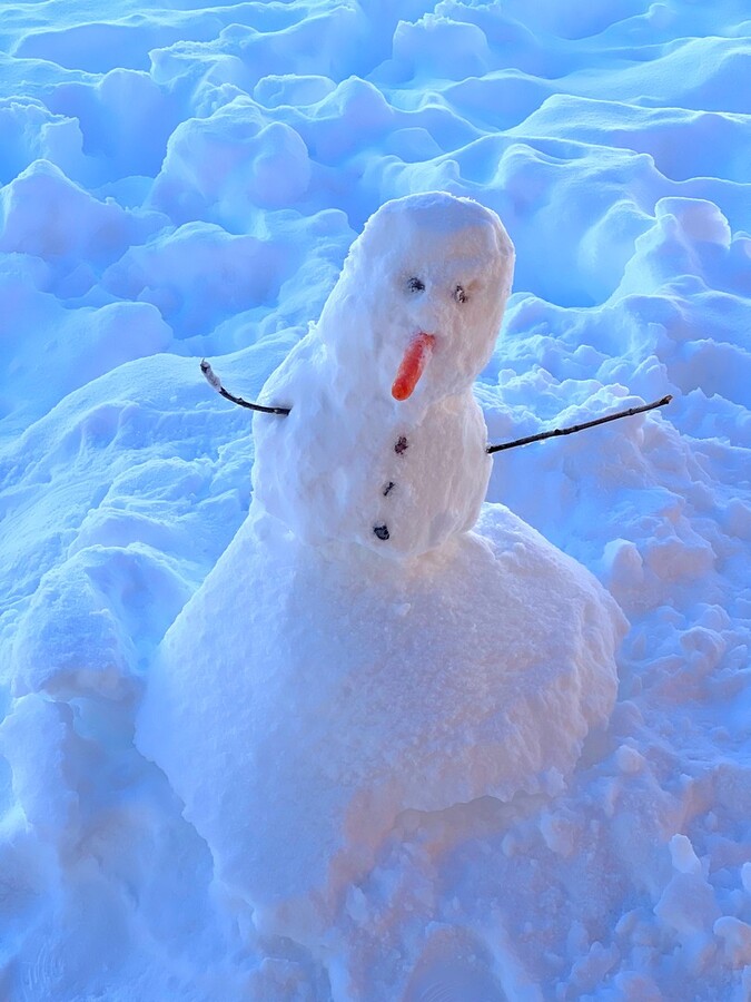 Rude Snowman